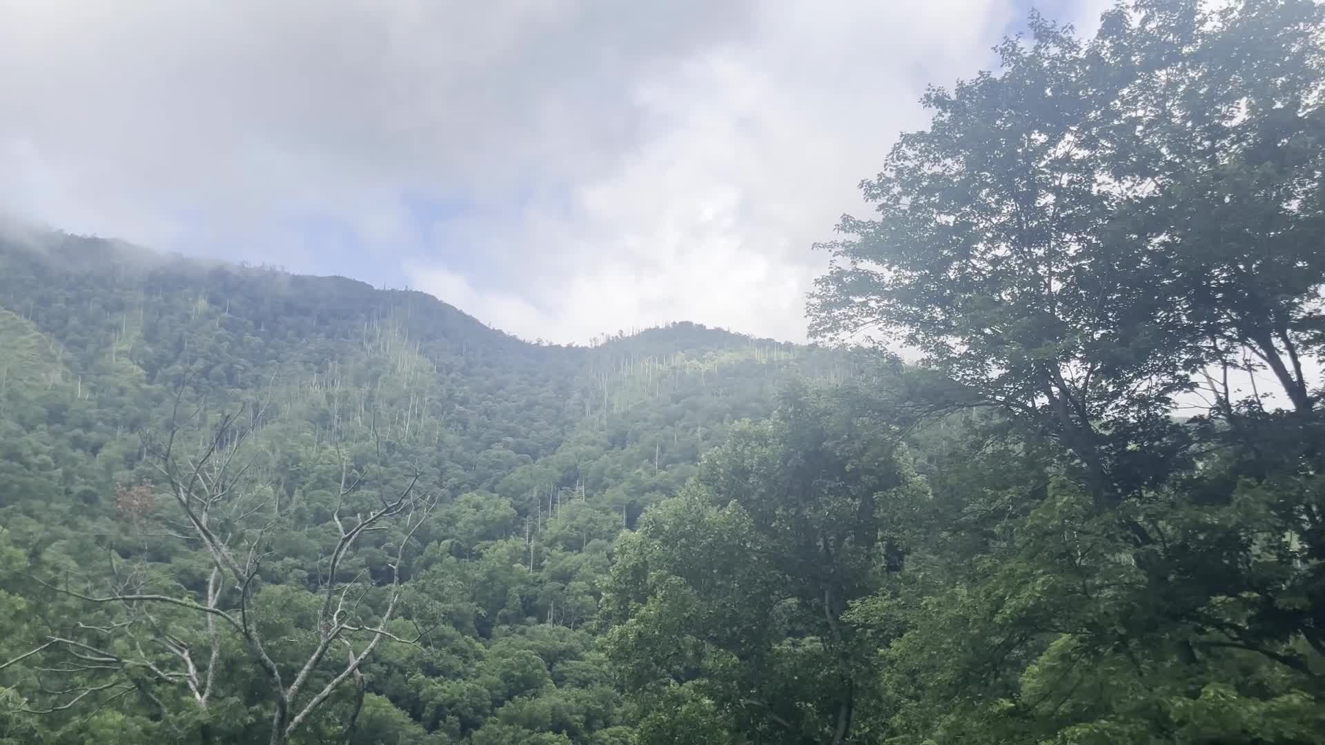 Smoky Mountains Scenic Overlook loop 1