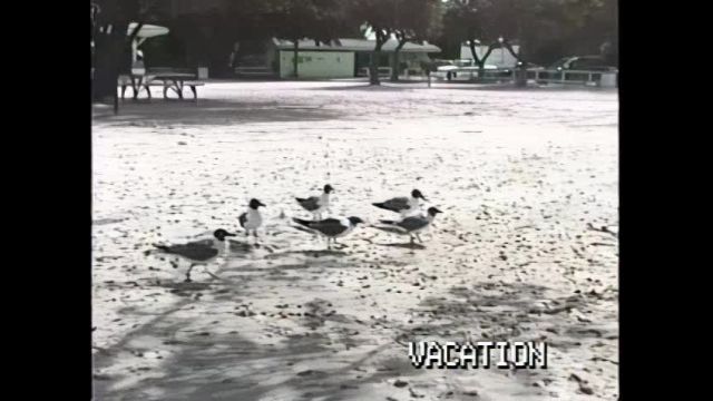 Vacation 2005 - FL & Bahamas