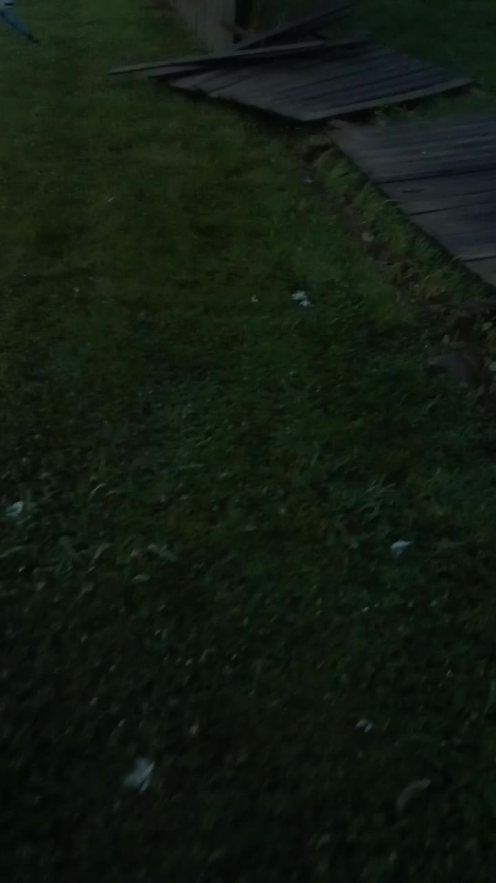 Storm Damage to Fence